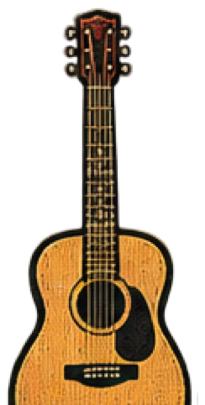 Acoustic guitar